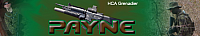 bannerpayne1